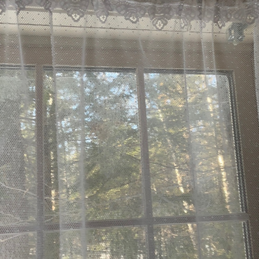 White Lace Goose Pattern Curtain - Picture 11 of 16